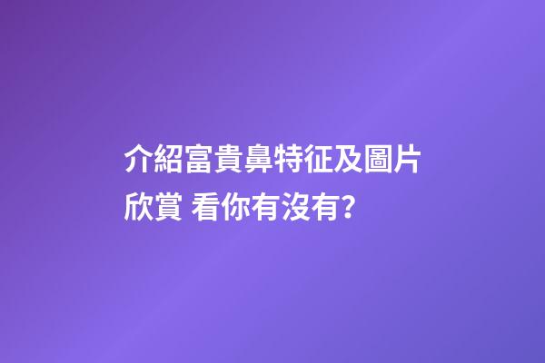 介紹富貴鼻特征及圖片欣賞 看你有沒有？